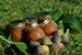 9Muse B&B - le marmellate confezionate con la frutta biologica “a metri zero” del frutteto di casa